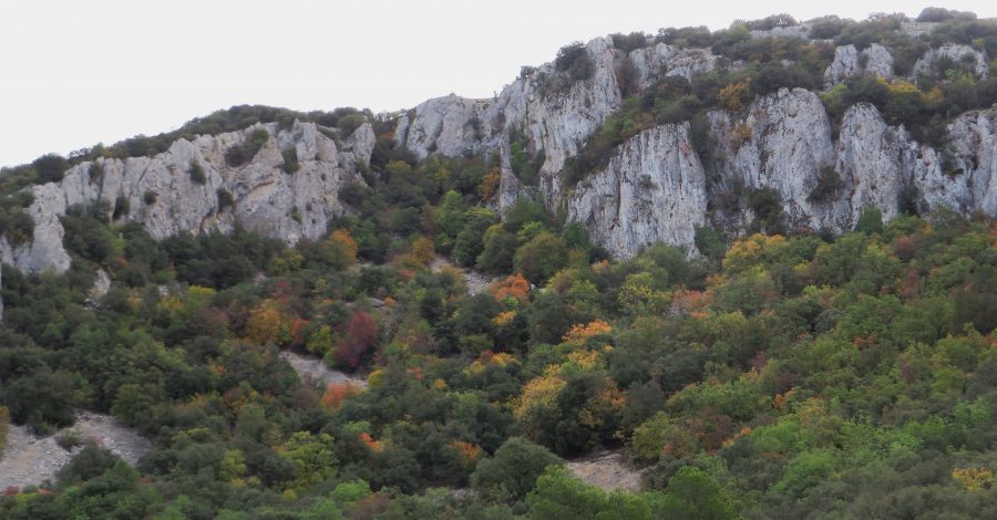 Imagen del macizo rocoso y los bosques mixtos de la Font Roja (Alcoi, Alicante)