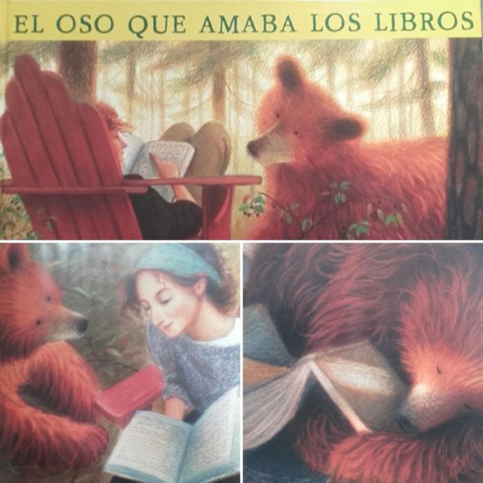 oso amaba libros biblioteca